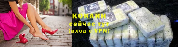 дживик Арсеньев