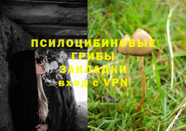 дживик Арсеньев