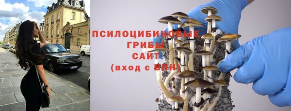 дживик Арсеньев