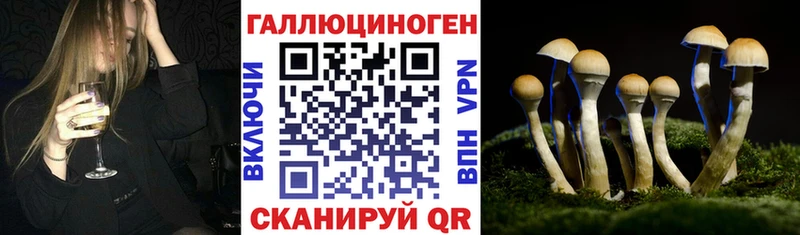 KRAKEN tor Лукоянов Псилоцибиновые грибы Magic Shrooms